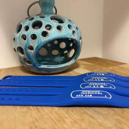 Domaine De Valescure *