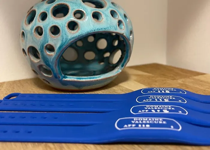 Domaine De Valescure *